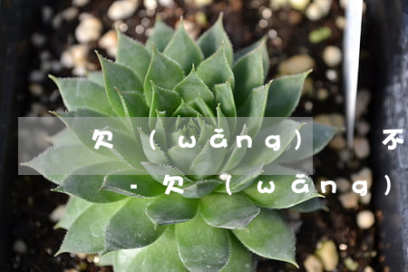 欠網(wǎng)貸還不上惡意拖欠算犯法嗎-欠網(wǎng)貸還不上惡意拖欠算犯法嗎知乎