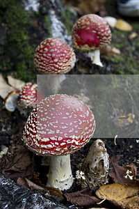 欠網(wǎng)貸還不上想去銀行抵押貸款-欠網(wǎng)貸還不上想去銀行抵押貸款可以嗎