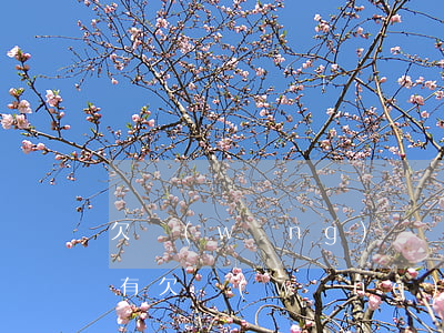 欠網(wǎng)貸還不上收到搜車短信(沒有欠網(wǎng)貸發(fā)短信說還款)