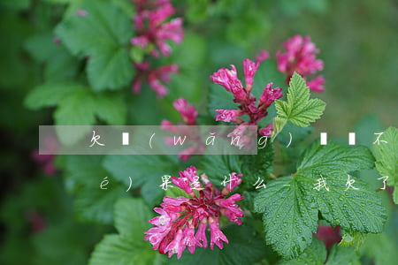 欠網(wǎng)貸還不上最壞的結(jié)果是什么-我欠了好多網(wǎng)貸無力償還怎么辦