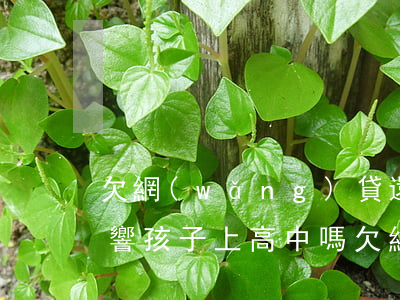 欠網(wǎng)貸還不上會(huì)影響孩子上高中嗎(欠網(wǎng)貸孩子不能上學(xué)?)