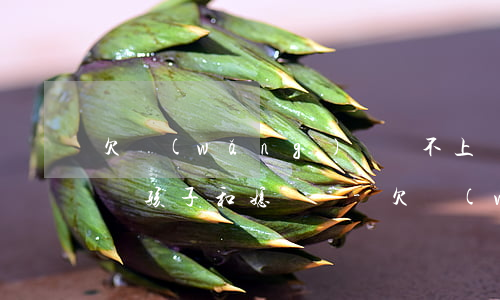 欠網(wǎng)貸還不上會(huì)影響孩子和媳婦嗎-欠網(wǎng)貸還不上會(huì)不會(huì)影響孩子