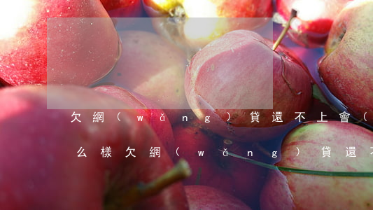欠網(wǎng)貸還不上會(huì)怎么樣(欠網(wǎng)貸還不起會(huì)怎么樣)