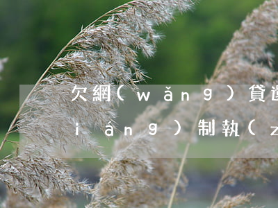 欠網(wǎng)貸還不上會不會被強(qiáng)制執(zhí)行-欠網(wǎng)貸還不上會不會被強(qiáng)制執(zhí)行呢