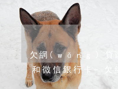欠網(wǎng)貸還不上會被凍結支付寶和微信銀行卡-欠網(wǎng)貸還不上會被凍結支付寶和微信銀行卡嗎
