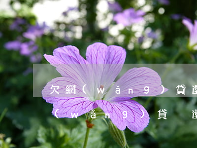 欠網(wǎng)貸還不上會被坐牢嗎(欠網(wǎng)貸沒還會不會坐牢)