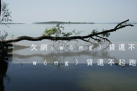欠網(wǎng)貸還不上有跑路的嗎(網(wǎng)貸還不起跑路)