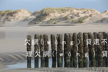 欠網(wǎng)貸還不上法院怎么判決處理(欠網(wǎng)貸不還起訴了怎么辦)