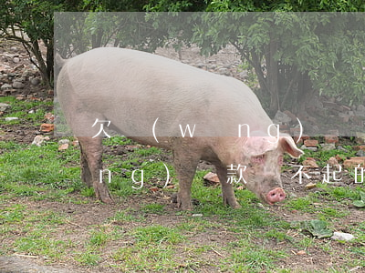 欠網(wǎng)貸還不上的事例(網(wǎng)貸款還不起的真實案例)