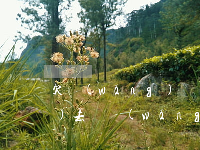 欠網(wǎng)貸還不上 能熬過(guò)去嗎(網(wǎng)貸欠款還不上)