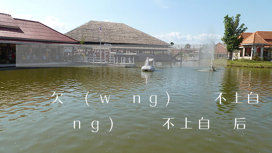欠網(wǎng)貸還不上自殺后(欠網(wǎng)貸還不上自殺后)