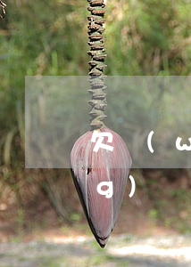 欠網(wǎng)貸還不上自首(網(wǎng)貸欠款還不上)