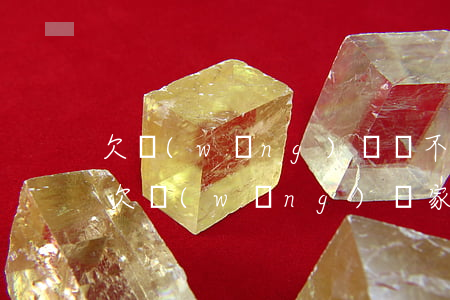 欠網(wǎng)貸還不上該不該告訴家人(欠網(wǎng)貸家人不管怎么辦)