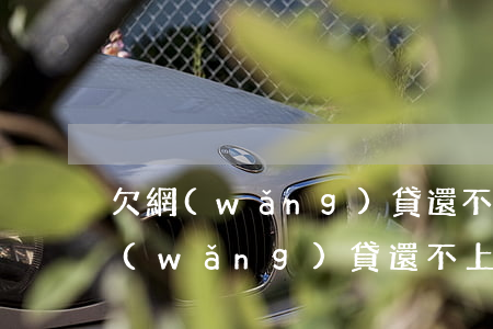 欠網(wǎng)貸還不上論壇(欠好幾家網(wǎng)貸還不上怎么辦)