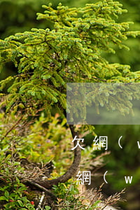 欠網(wǎng)貸還不上跑路后果怎樣(欠網(wǎng)貸不還跑路會(huì)被找到嗎)