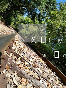 欠網(wǎng)貸還不上 跟家里要錢(欠網(wǎng)貸不打算還了)