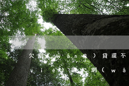 欠網(wǎng)貸還不出賬戶會被凍結(jié)嗎(欠網(wǎng)貸什么情況下會凍結(jié)賬戶)