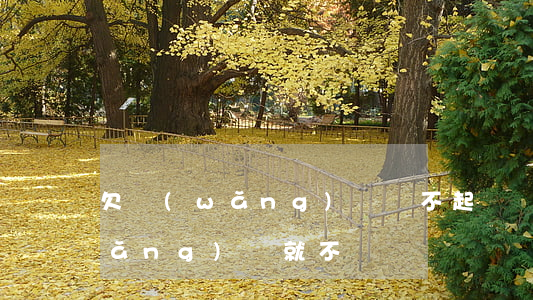 欠網(wǎng)貸還不起丟臉嗎(欠網(wǎng)貸就不還)