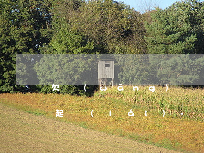 欠網(wǎng)貸還不起了人怎樣才能爬起來(lái)-網(wǎng)貸還不起怎么上岸