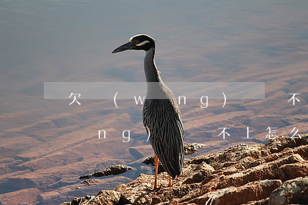 欠網(wǎng)貸還不起了咋辦(欠網(wǎng)貸還不上怎么辦?)
