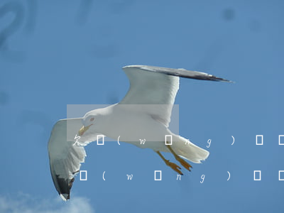 欠網(wǎng)貸還不起了找誰訴說(欠了網(wǎng)貸還不上找誰幫忙)