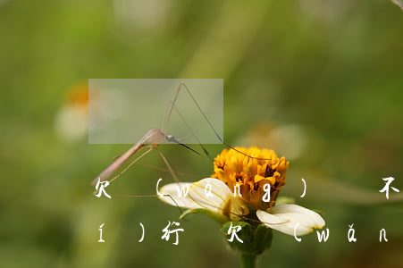 欠網(wǎng)貸還不起了會被執(zhí)行嗎(欠網(wǎng)貸一年多還沒被執(zhí)行)