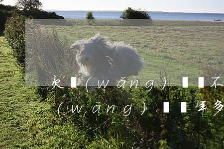 欠網(wǎng)貸還不起了第二次了(欠網(wǎng)貸兩年多還不起怎么辦?)