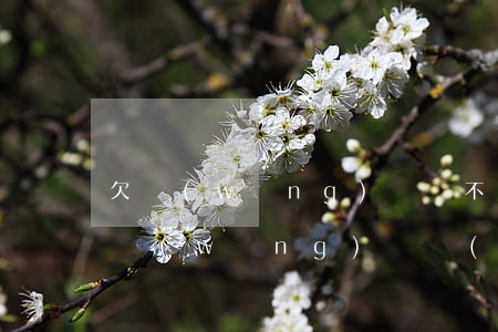 欠網(wǎng)貸還不起可以去自首嗎(欠網(wǎng)貸實(shí)在還不起怎么辦)