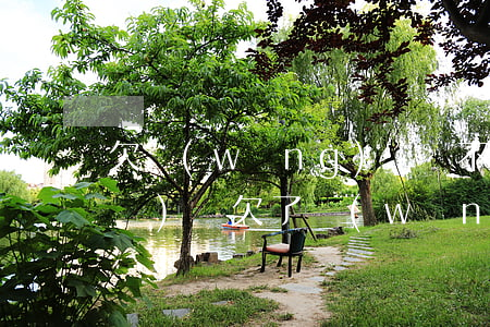 欠網(wǎng)貸還不起可以坐飛機(jī)嗎(欠了網(wǎng)貸還能坐飛機(jī)嗎)