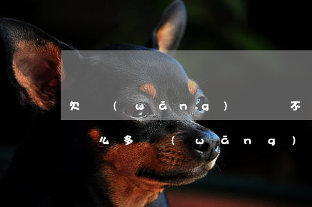 欠網(wǎng)貸還不起可以少還點嗎(欠這么多網(wǎng)貸還不上怎么辦?)