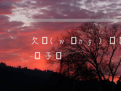 欠網(wǎng)貸還不起子債父償(欠債父債子還)