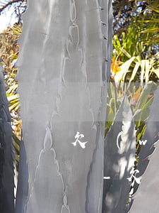 欠網(wǎng)貸還不起影響孩子和老婆嗎-欠網(wǎng)貸還不起影響孩子和老婆嗎知乎