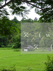 欠網(wǎng)貸還不起影響孩子和老婆嗎(欠網(wǎng)貸會(huì)影響老婆和孩子嗎)