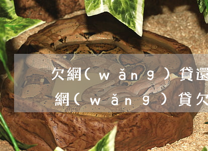 欠網(wǎng)貸還不起怎么向家人坦白(網(wǎng)貸欠錢跟父母坦白之后怎么面對他們)