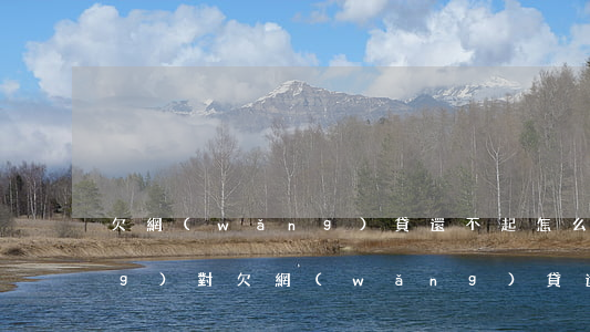 欠網(wǎng)貸還不起怎么應(yīng)對(欠網(wǎng)貸還不起怎么應(yīng)對)