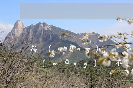欠網(wǎng)貸還不起會成了老賴嗎(欠網(wǎng)貸不還屬于老賴嗎)