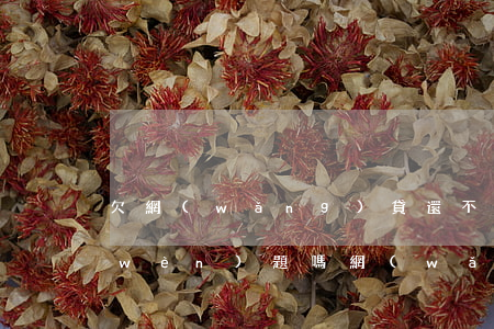 欠網(wǎng)貸還不起死了能解決問(wèn)題嗎(網(wǎng)貸欠款還不起會(huì)死人嗎?)