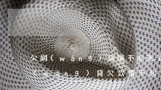 欠網(wǎng)貸還不起死了還要還嗎(網(wǎng)貸欠款還不起會(huì)死人嗎?)