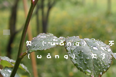 欠網(wǎng)貸還不起沒錢了怎么辦(網(wǎng)貸欠了錢還不上怎么辦)
