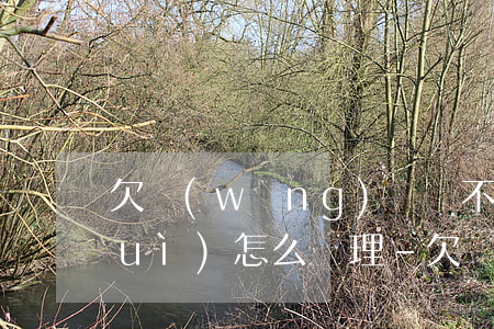 欠網(wǎng)貸還不起的人以后會(huì)怎么處理-欠網(wǎng)貸還不起的人以后會(huì)怎么處理呢