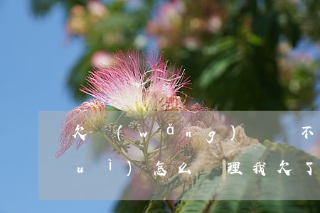 欠網(wǎng)貸還不起的人以后會(huì)怎么處理(我欠了網(wǎng)貸還不起怎么辦)