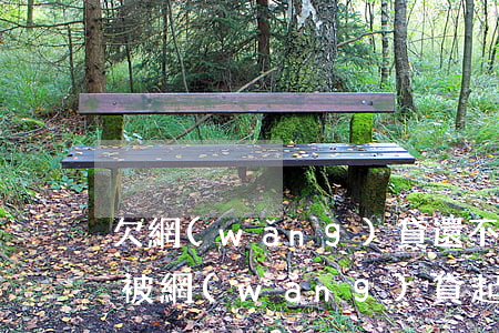 欠網(wǎng)貸還不起被起訴了怎么辦(被網(wǎng)貸起訴了但還不上怎么辦)