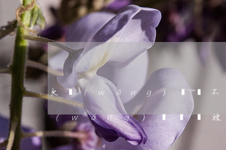 欠網(wǎng)貸還不起被起訴敗訴(欠網(wǎng)貸敗訴被如何判決)