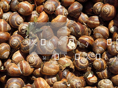 欠網(wǎng)貸還不起要和父母說(shuō)嗎(欠網(wǎng)貸還不起要和父母說(shuō)嗎)