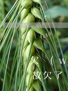 欠網(wǎng)貸還不起講的故事(無緣無故欠了網(wǎng)貸)
