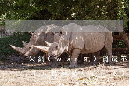 欠網(wǎng)貸還不起銀行卡會(huì)被凍結(jié)嗎-欠網(wǎng)貸還不起銀行卡會(huì)被凍結(jié)嗎怎么解凍