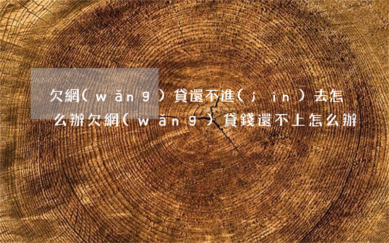 欠網(wǎng)貸還不進(jìn)去怎么辦(欠網(wǎng)貸錢還不上怎么辦)