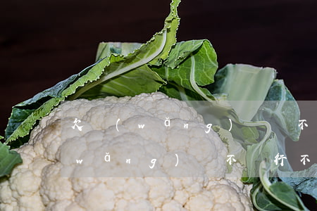 欠網(wǎng)貸還不還可以借嗎(欠網(wǎng)貸不還行不行)