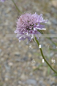欠網(wǎng)貸還了號(hào)碼怎么還能找到(不知道欠了哪家網(wǎng)貸怎么還)