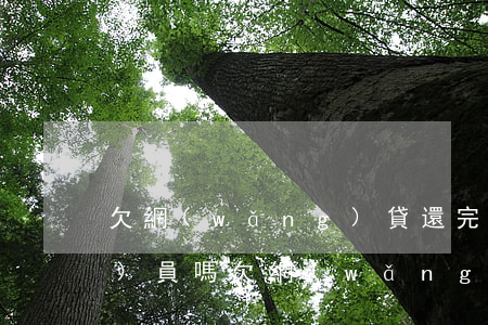 欠網(wǎng)貸還完可以考公務(wù)員嗎(欠網(wǎng)貸影響考公務(wù)員嗎)